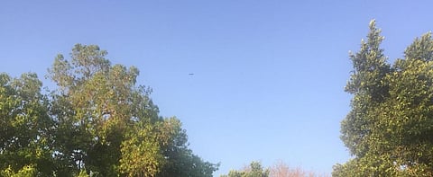 Air during COVID-19 lockdown: March’s last week cleanest so far in Delhi