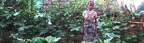A tribal woman in Nagada stands next to her nutrition garden Photo: Atreyee Kar/Trickle Up