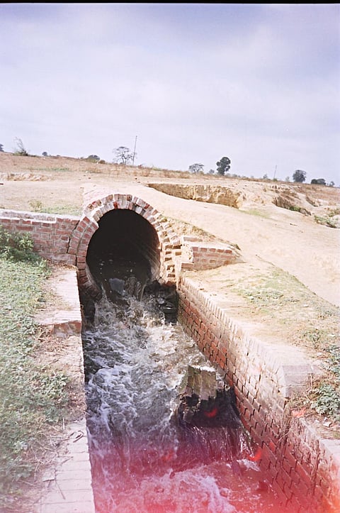 एनजीटी ने प्राधिकरणों से कहा गाजीपुर स्लॉटर हाउस को पर्यावरणीय मानकों पर चलाने पर करें विचार