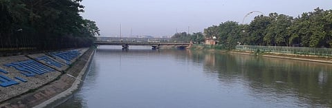 Has COVID-19 lockdown really helped Yamuna health in Delhi?