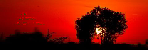 Summer commences in India, impact on COVID-19 unclear as of now