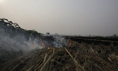 फाइल फोटो: विकास चौधरी