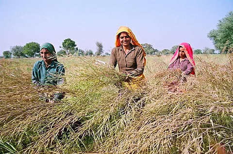 Union Budget 2021-22: What should be the priorities for agriculture?