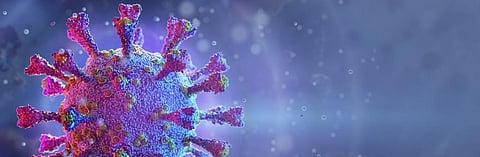 Coronavirus: Where do new viruses come from?