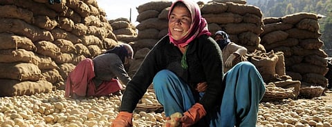 Small farmers, daily wagers take to vegetable retail selling in Himachal due to lockdown