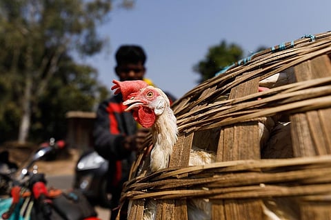 फोटो: विकास चौधरी