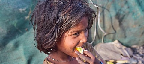 India can’t have a piece-meal approach of fighting only food security or climate change