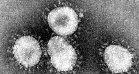 Coronavirus update: Ajit Pawar urges special trains post-lockdown to ferry migrant workers