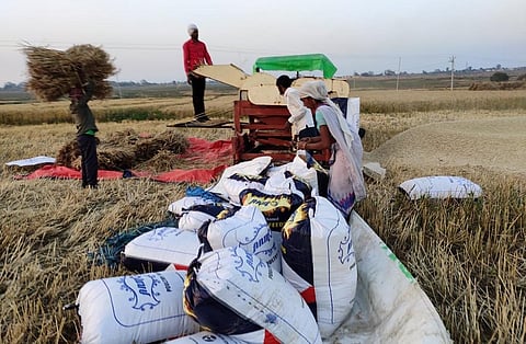 झारखंड के कई किसानों को अब तक प्रधानमंत्री किसान सम्मान की चौथी किस्त नहीं पहुंची है। फोटो: आनंद दत्त