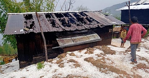 Erratic weather teams up with COVID-19 lockdown to be double whammy for North East farmers