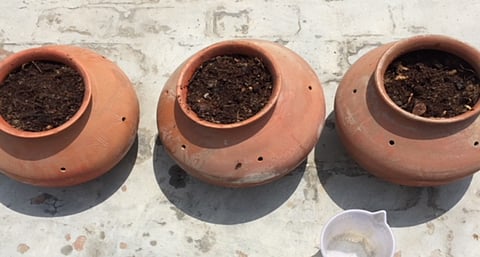 COVID-19 lockdown a good time to compost your waste. Here's how to do it