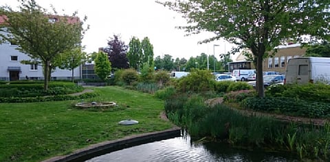 Copenhagen green space with water retention infrastructure.