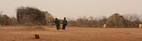 Africa's energy sector has most opportunities for investing in climate change: Survey