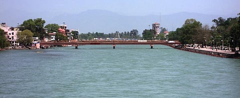 COVID-19 lockdown: A ventilator for rivers