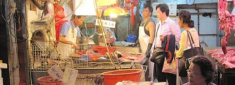 Tremendous momentum in China to address illegal wildlife trade: Expert