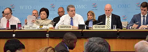 Stop all trade talks during COVID-19: Civil society to WTO