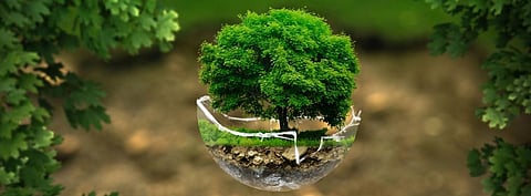 Is an environmental apocalypse approaching India?