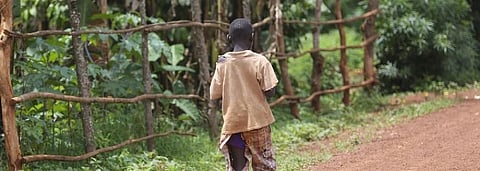 COVID-19 will magnify food shortage in Africa