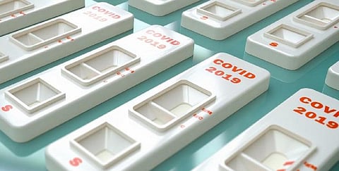 Photo: Monika Wisniewska/shutterstock