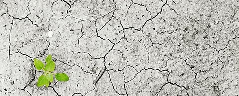 COVID-19: Asia-Pacific countries must act against recession-induced hunger