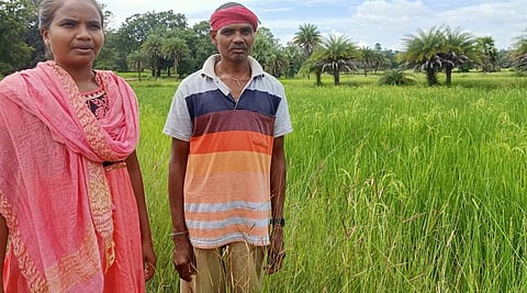 DMF best practices: Keonjhar and Dantewada strengthen livelihoods