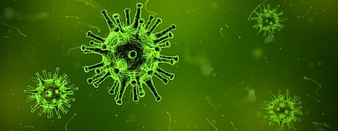 Understanding zoonotic diseases: ‘Enthusiasm for game meat to have prime impact on human health’