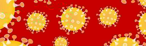 Understanding zoonotic diseases: ‘Global human interaction has eased transmission’