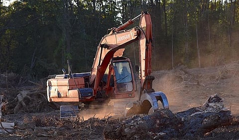 1990 से लेकर अब तक 17.8 करोड़ हेक्टेयर जंगल हो चुके हैं ख़त्म