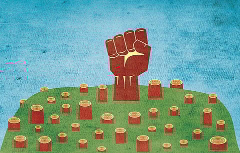 Carbon accounting is a complex process. A lot depends on the species of trees being chopped and those that are planted to replace them. (Illustration credit: Tarique Aziz)