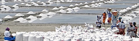 COVID-19: Salt manufacturers struggle to meet production targets