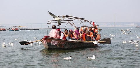 Gulls hover around a pilgrim boat at the Sangam. Photo: Tripti Shukla