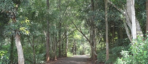 Keeping the ‘Green Hills’ truly green