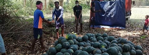 Solar lift irrigation helps Gumla farmers move away from diesel pump sets