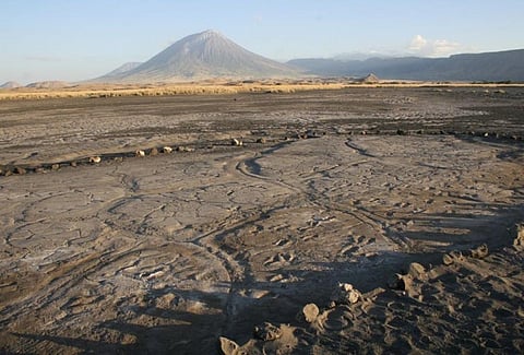 Prehistoric human footprints reveal a rare snapshot of ancient human group behaviour