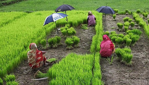 नाइट्रस ऑक्साइड मामले में एनजीटी ने कृषि मंत्रालय से मांगी रिपोर्ट