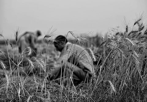 Modi govt gets farmers Bills cleared amid steep opposition; minister Badal resigns