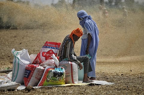 Photo: Vikas Choudhary/CSE