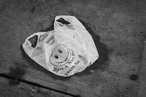 I weighed my options and carry either a reusable bag that I fancy or go empty-handed to see my ex (a plastic carry bag) Photo: Pixabay