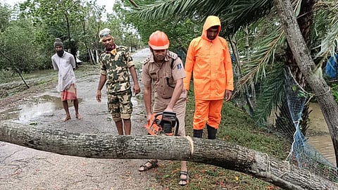 A day after: Cyclone Amphan throws life out of gear in Odisha districts