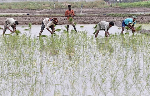 फाइल फोटो: विकास चौधरी