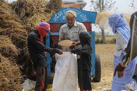 फोटो: विकास चौधरी