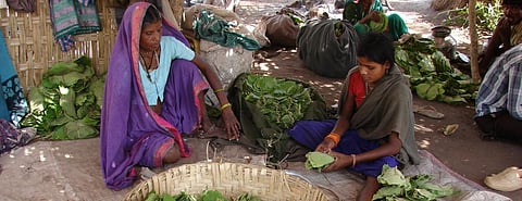 The Chhattisgarh government has amended its earlier order that made the forest department the nodal agency for community resource rights in the state. Photo: Kumar Sambhav Shrivastava / CSE