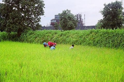 Climate change and agriculture: Way ahead for low-emission growth