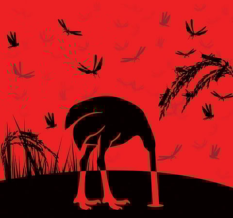 Multiple crises: the cost of wasted time