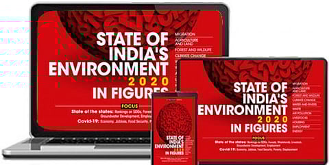 State of India’s Environment 2020: In Figures (e-book)