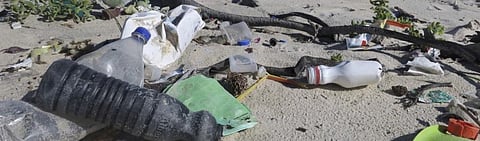 Litter on a Cape Town beach Photo: Peter Ryan