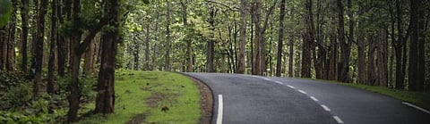 Environmental crimes: India may take upto 33 yrs to clear case backlog, says report