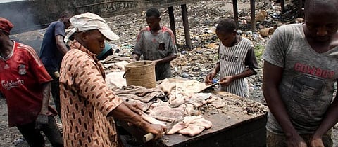 Why abattoirs in Nigeria pose a threat to health and environment