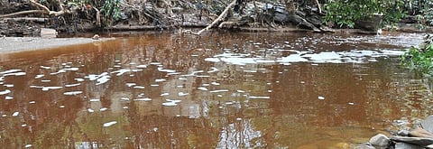 COVID-19: Wastewater surveillance can help discover spread, says scientist