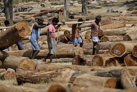 फोटो: विकास चौधरी